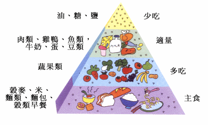 ҽԺ综ʳҪʲô